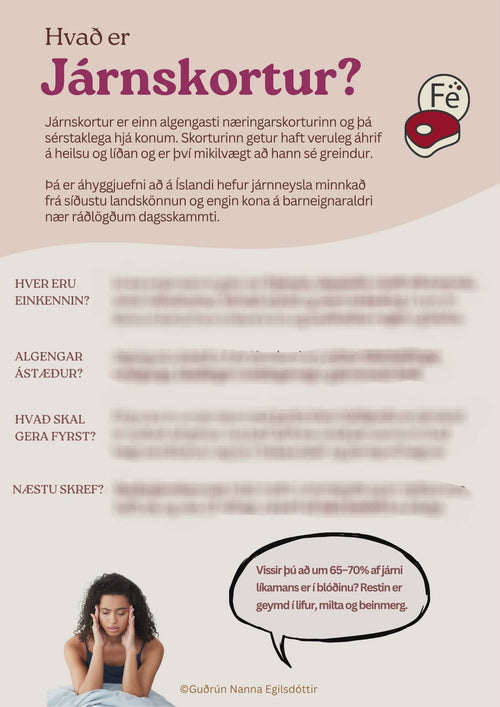 Járnskortur 101 - guide